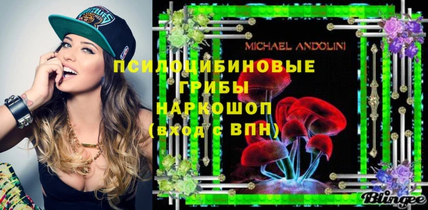 амф Богданович