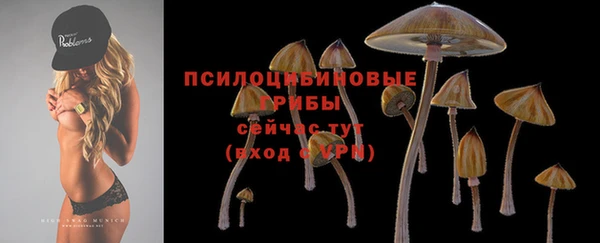 индика Богородицк