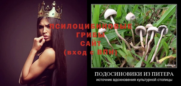 амф Богданович