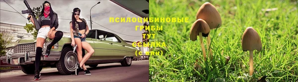 ALPHA PVP Богородск