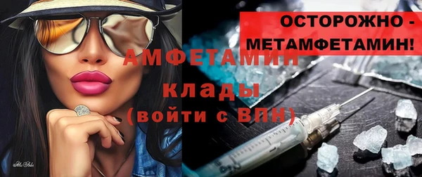 индика Богородицк