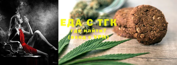 индика Богородицк