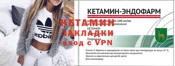 индика Богородицк