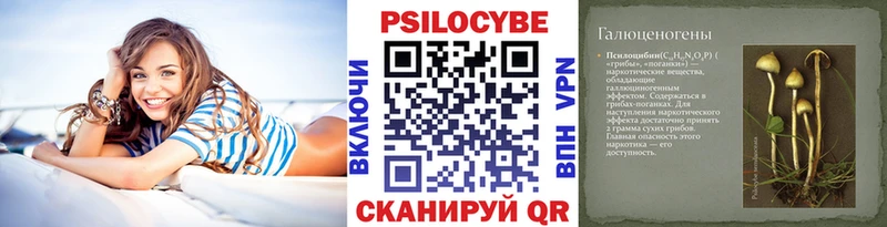 Галлюциногенные грибы MAGIC MUSHROOMS  цены наркотик  Велиж 